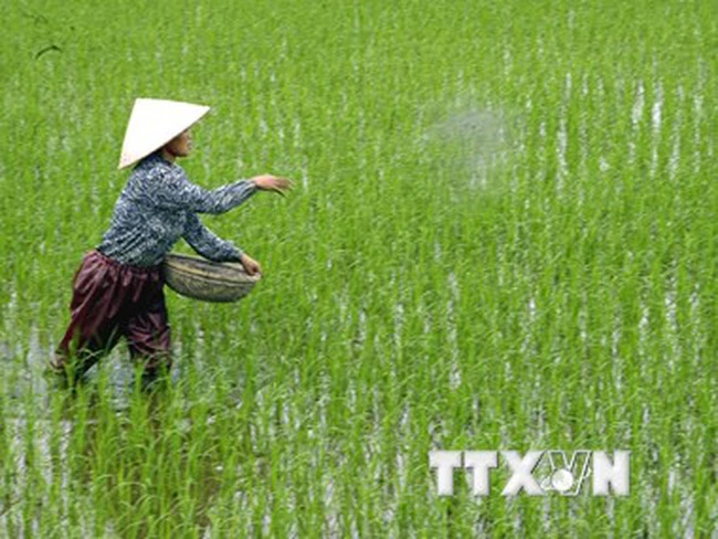 Mỹ thúc đẩy xuất khẩu phân bón sinh học sang Việt Nam Mỹ thúc đẩy xuất khẩu phân bón sinh học sang Việt Nam