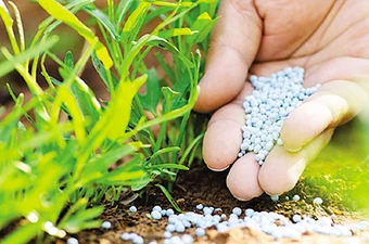 Mỹ thúc đẩy xuất khẩu phân bón sinh học sang Việt Nam