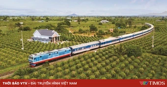 Miễn hàng loạt phí, lệ phí vận tải, tiếp sức cho doanh nghiệp
