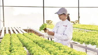Minh bạch dữ liệu, nền tảng của khởi nghiệp xanh