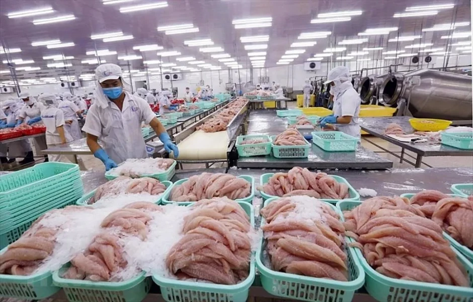 Minh bạch hàng hóa thủy sản xuất khẩu Minh bạch hàng hóa thủy sản xuất khẩu