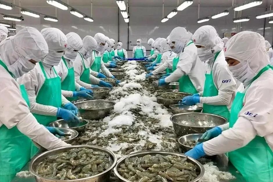 Minh bạch hàng hóa thủy sản xuất khẩu Minh bạch hàng hóa thủy sản xuất khẩu