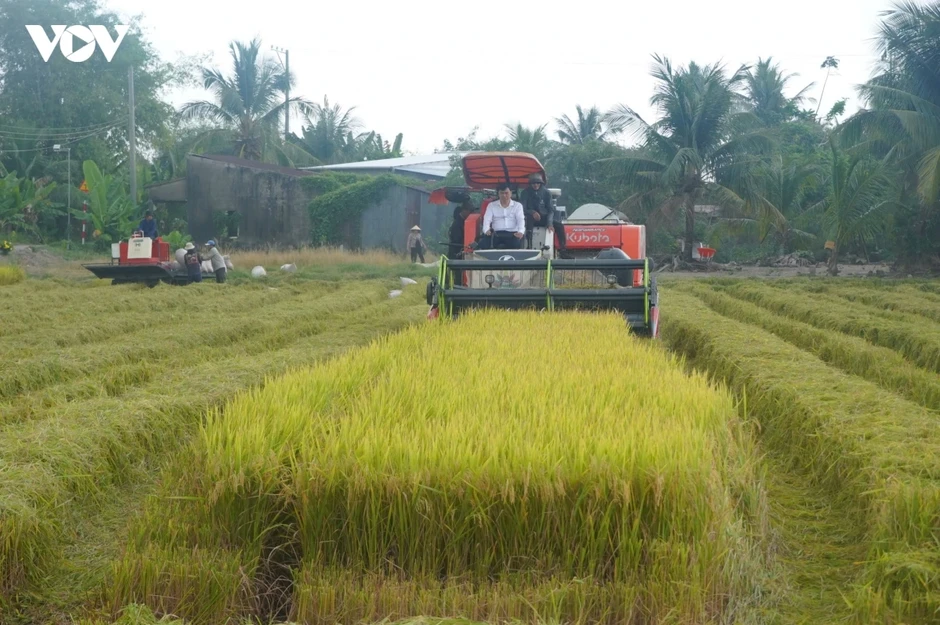 Minh bạch quy trình, định danh gạo phát thải thấp Minh bạch quy trình, định danh gạo phát thải thấp