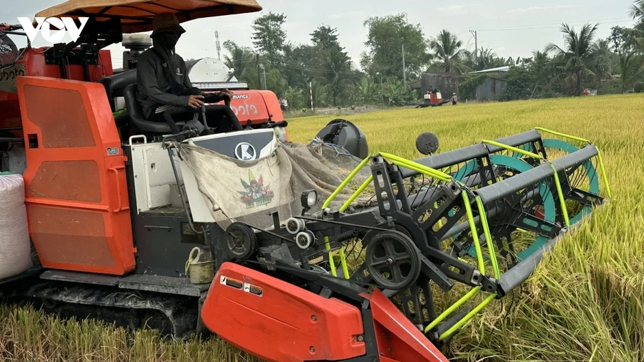 Minh bạch quy trình, định danh gạo phát thải thấp Minh bạch quy trình, định danh gạo phát thải thấp