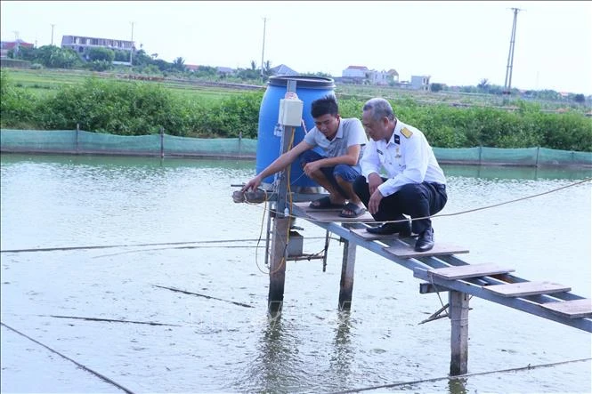Mô hình kinh tế bền vững từ nuôi cá chạch đồng Mô hình kinh tế bền vững từ nuôi cá chạch đồng