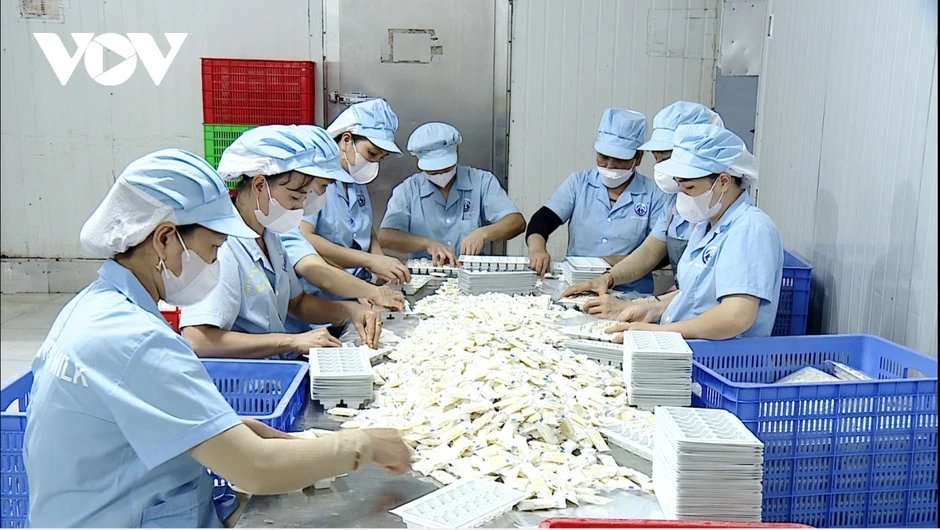 Mở lối để doanh nghiệp tư nhân có thể “đi đường dài" Mở lối để doanh nghiệp tư nhân có thể “đi đường dài"