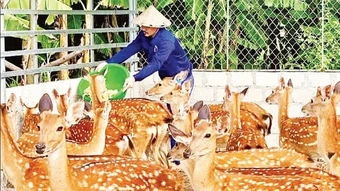 Mở lối đi bền vững cho nông sản Việt