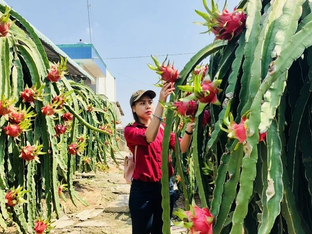 Mở rộng cơ hội tại Ấn Độ: Hai nền kinh tế bổ trợ cho nhau Mở rộng cơ hội tại Ấn Độ: Hai nền kinh tế bổ trợ cho nhau