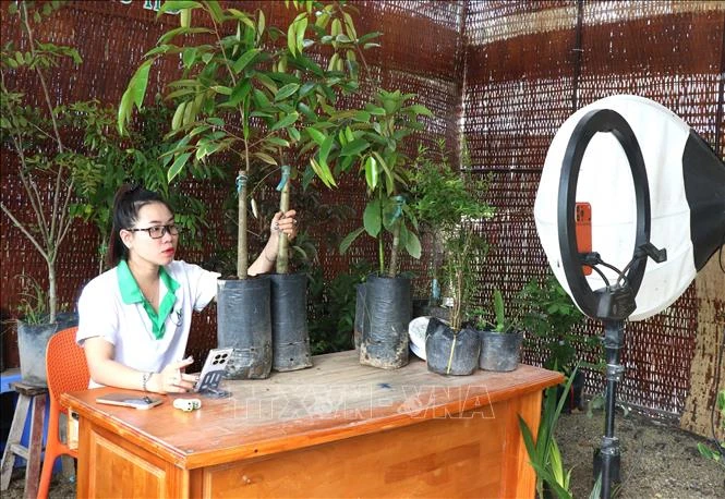 Mở rộng đầu ra nông sản nền tảng thương mại điện tử