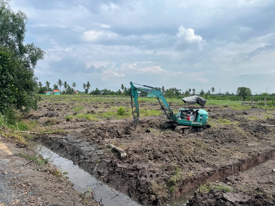 Mở rộng diện tích canh tác chanh, tạo nền tảng cho tăng trưởng dài hạn Mở rộng diện tích canh tác chanh, tạo nền tảng cho tăng trưởng dài hạn