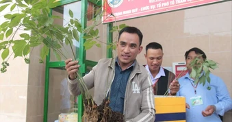 Mở rộng vùng trồng sâm Ngọc Linh lên 10.000ha