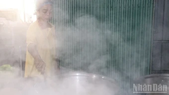 Mùa mật ngọt thốt nốt