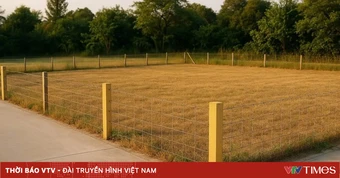 Mua bằng giấy viết tay đất chưa có sổ từ 2004, có bị xử phạt?
