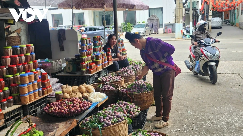 Mùa mận Sơn La đến sớm, giá rẻ bất ngờ Mùa mận Sơn La đến sớm, giá rẻ bất ngờ