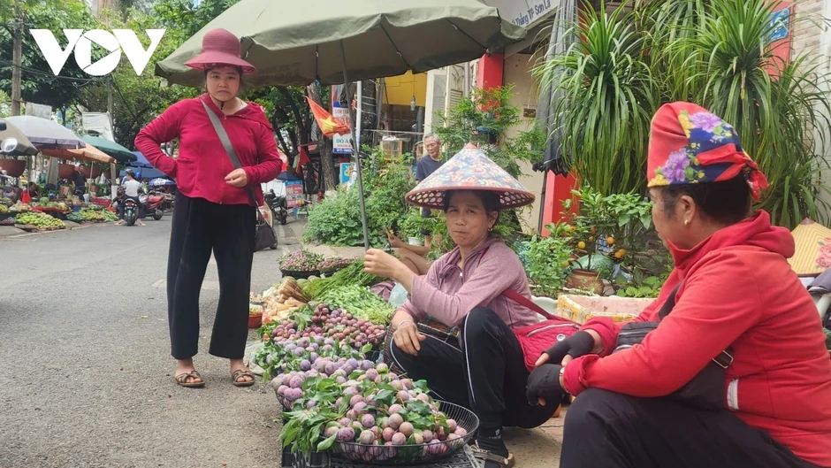 Mùa mận Sơn La đến sớm, giá rẻ bất ngờ Mùa mận Sơn La đến sớm, giá rẻ bất ngờ