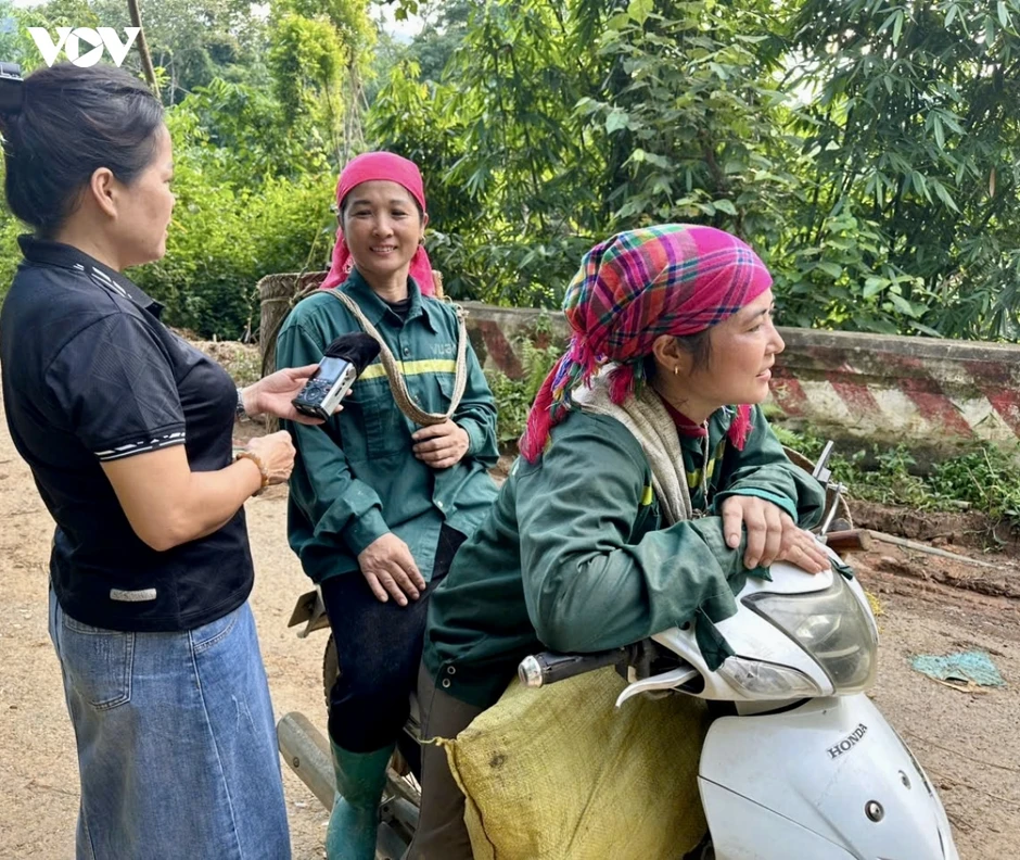 Mùa măng rừng vùng cao, người dân thu vài trăm ngàn mỗi ngày Mùa măng rừng vùng cao, người dân thu vài trăm ngàn mỗi ngày
