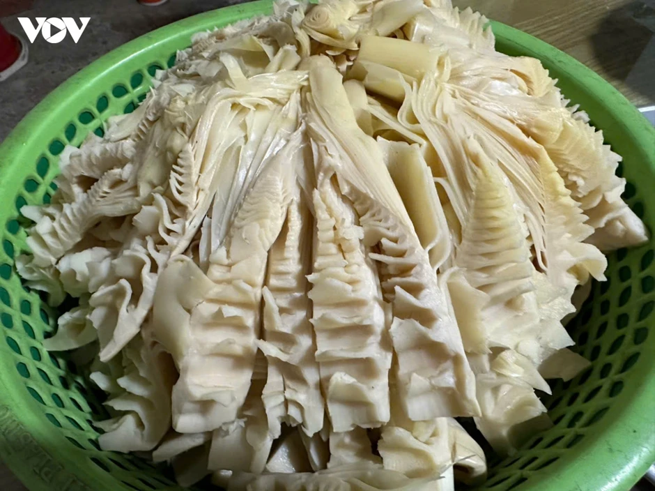 Mùa măng rừng vùng cao, người dân thu vài trăm ngàn mỗi ngày Mùa măng rừng vùng cao, người dân thu vài trăm ngàn mỗi ngày
