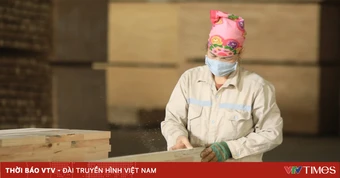 Muốn cạnh tranh, ngành gỗ phải có "hộ chiếu xanh"