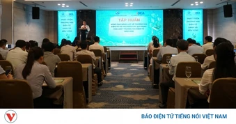 Nâng cao năng lực thương mại điện tử cho cộng đồng doanh nghiệp Đà Nẵng