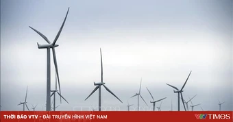 Năng lượng tái tạo lần đầu vượt than đá trong sản lượng điện toàn cầu