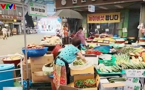 Nắng nóng giá tăng áp lực lạm phát tại Hàn Quốc Nắng nóng giá tăng áp lực lạm phát tại Hàn Quốc