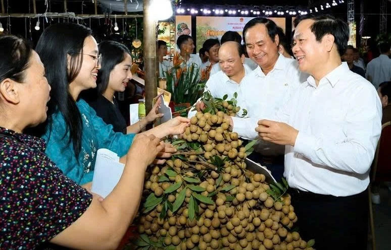 Nâng tầm thương hiệu nhãn lồng Hưng Yên từ không gian mạng đến thị trường xuất khẩu Nâng tầm thương hiệu nhãn lồng Hưng Yên từ không gian mạng đến thị trường xuất khẩu