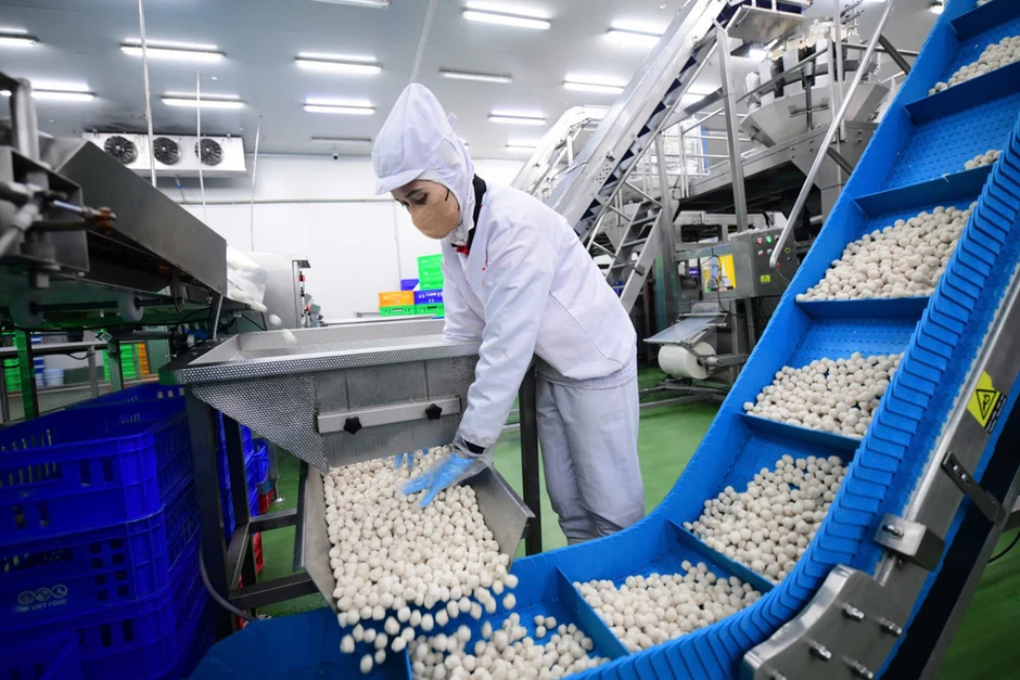 Nền kinh tế Việt Nam cần hướng trọng tâm vào chất lượng tăng trưởng Nền kinh tế Việt Nam cần hướng trọng tâm vào chất lượng tăng trưởng