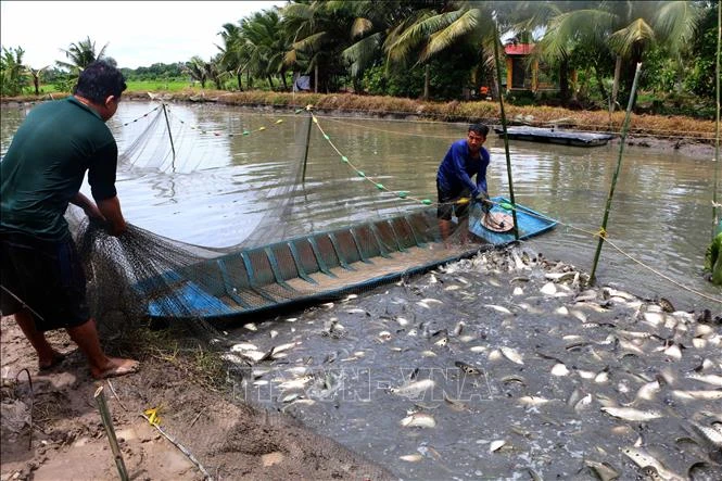 Nền tảng thích ứng với biến đổi khí hậu - Bài 1: Mở rộng sinh kế