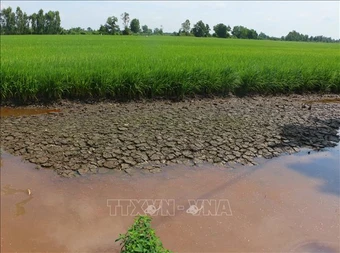 Nền tảng thích ứng với biến đổi khí hậu - Bài 1: Mở rộng sinh kế