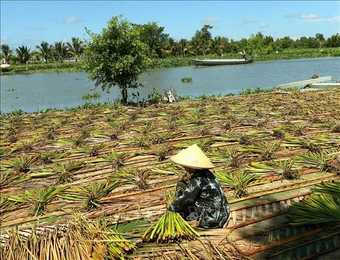 Nền tảng thích ứng với biến đổi khí hậu - Bài cuối: Khi thích ứng trở thành chủ động