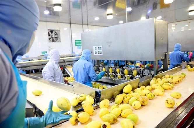 Ngành chế biến, chế tạo tiếp tục giữ vai trò 'đầu tàu' trong sản xuất công nghiệp