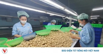 Ngành điều cảnh báo rủi ro hợp đồng và thanh toán trong năm 2026