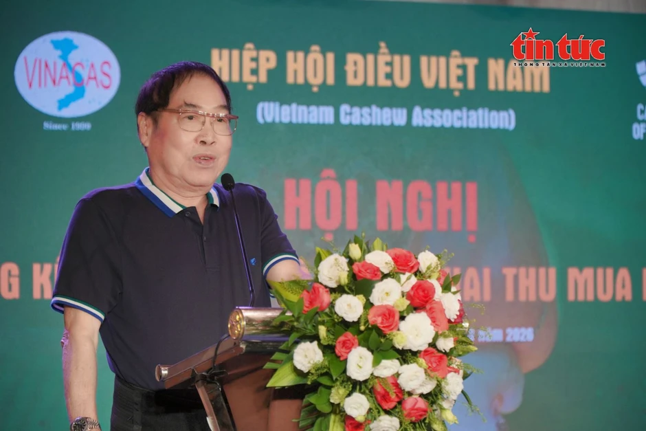 Ngành điều Việt Nam hướng tới giữ vững đà tăng trưởng sau năm kỷ lục Ngành điều Việt Nam hướng tới giữ vững đà tăng trưởng sau năm kỷ lục