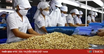 Ngành điều Việt Nam: Từ 'công xưởng chế biến' tới bài toán thương hiệu