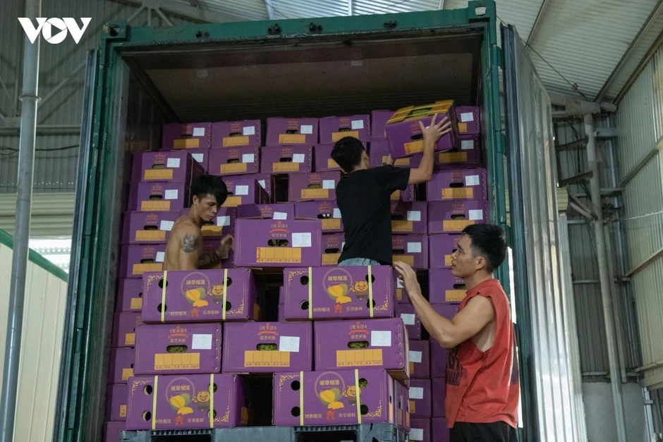 Ngành hàng tỷ đô không thể quản bằng những mã số trên giấy Ngành hàng tỷ đô không thể quản bằng những mã số trên giấy