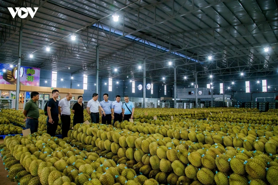 Ngành hàng tỷ đô không thể quản bằng những mã số trên giấy Ngành hàng tỷ đô không thể quản bằng những mã số trên giấy