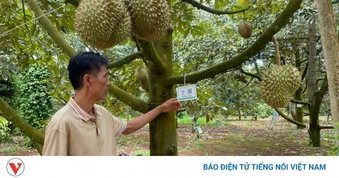 Ngành hàng tỷ đô không thể quản bằng những mã số trên giấy