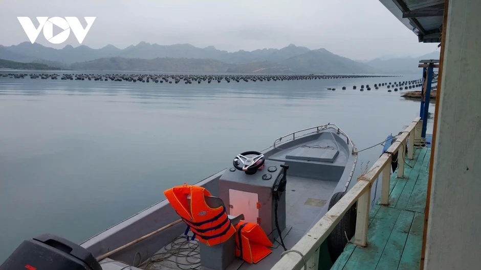 Ngành nuôi trồng thủy sản Quảng Ninh khôi phục phát triển mạnh mẽ Ngành nuôi trồng thủy sản Quảng Ninh khôi phục phát triển mạnh mẽ