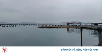 Ngành nuôi trồng thủy sản Quảng Ninh khôi phục phát triển mạnh mẽ