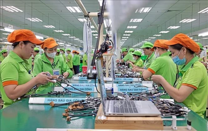 Ngành Thống kê Việt Nam: 80 năm kiến tạo 'ngôn ngữ số' trong quản trị quốc gia Ngành Thống kê Việt Nam: 80 năm kiến tạo 'ngôn ngữ số' trong quản trị quốc gia