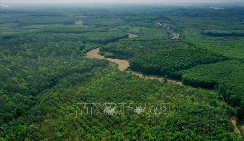 Ngành Thống kê Việt Nam: 80 năm kiến tạo 'ngôn ngữ số' trong quản trị quốc gia Ngành Thống kê Việt Nam: 80 năm kiến tạo 'ngôn ngữ số' trong quản trị quốc gia