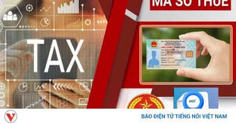 Ngành Thuế rà soát hàng trăm nghìn doanh nghiệp nợ thuế, ngừng hoạt động