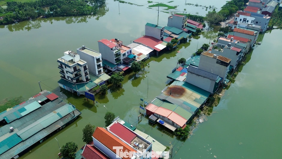 Ngập lụt nặng ở chợ đầu mối gia cầm Hà Nội Ngập lụt nặng ở chợ đầu mối gia cầm Hà Nội