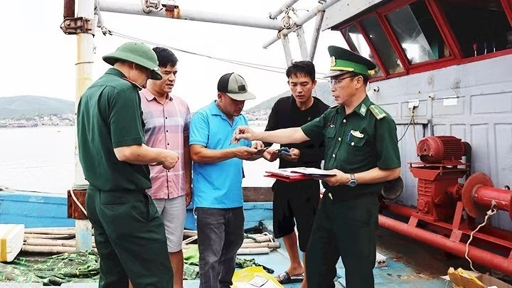 Nghệ An: 99,9% tàu cá thuộc diện bắt buộc đã lắp đặt thiết bị giám sát hành trình Nghệ An: 99,9% tàu cá thuộc diện bắt buộc đã lắp đặt thiết bị giám sát hành trình
