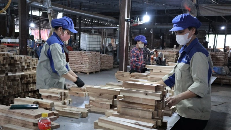 Nghệ An đặt mục tiêu đến năm 2030 có hơn 30.000 doanh nghiệp hoạt động Nghệ An đặt mục tiêu đến năm 2030 có hơn 30.000 doanh nghiệp hoạt động