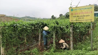 Nghệ An đẩy mạnh quảng bá sản phẩm OCOP, chủ lực trên các nền tảng quốc tế