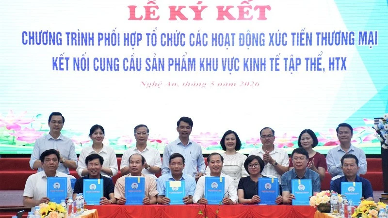 Nghệ An: Hơn 70% hợp tác xã hoạt động ở lĩnh vực nông nghiệp Nghệ An: Hơn 70% hợp tác xã hoạt động ở lĩnh vực nông nghiệp