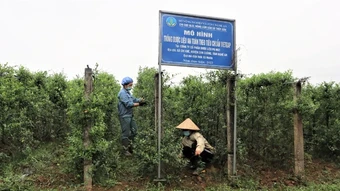 Nghệ An: Hơn 70% hợp tác xã hoạt động ở lĩnh vực nông nghiệp