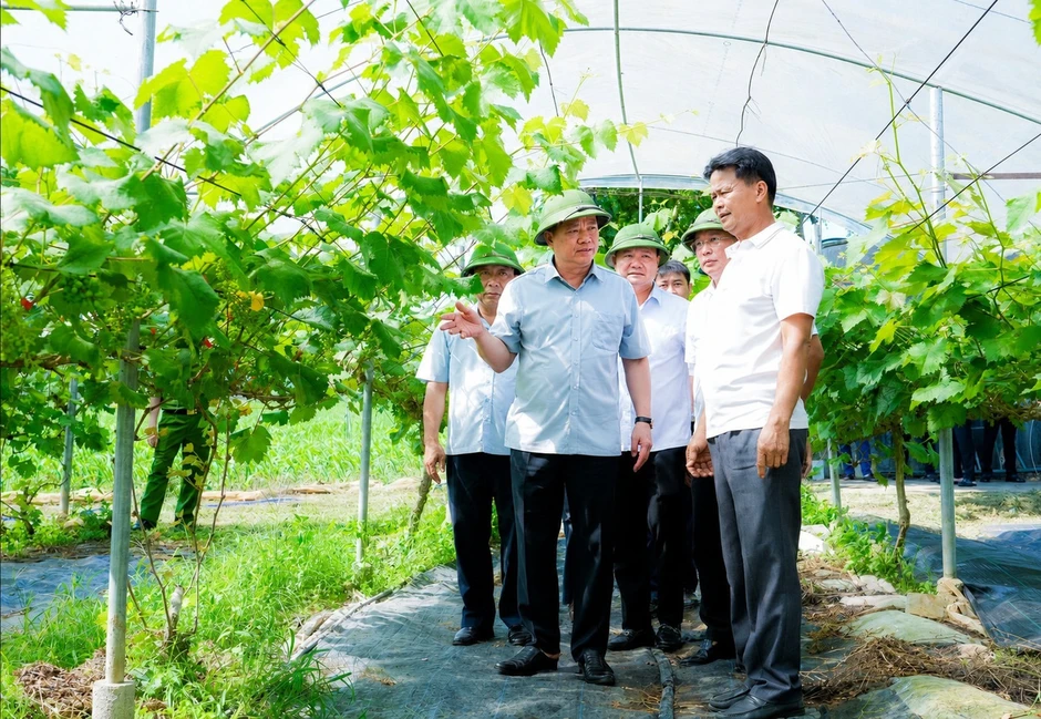 Nghệ An hướng tới nông thôn mới hiện đại, bền vững Nghệ An hướng tới nông thôn mới hiện đại, bền vững