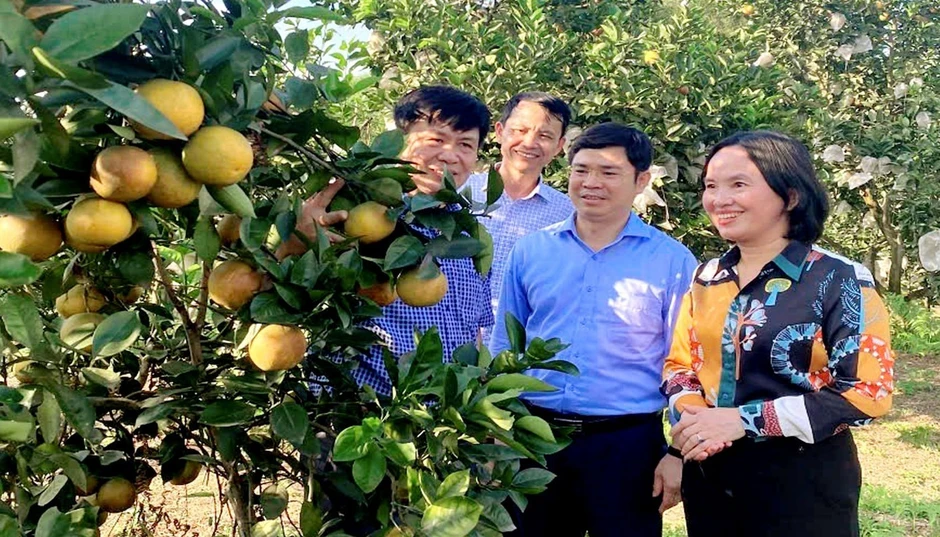 Nghệ An phát triển nông nghiệp công nghệ cao trên hành lang kinh tế đường Hồ Chí Minh Nghệ An phát triển nông nghiệp công nghệ cao trên hành lang kinh tế đường Hồ Chí Minh